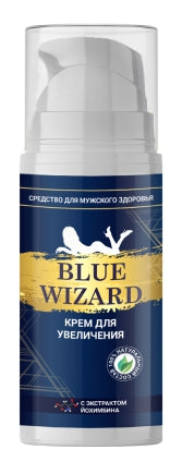 Blue Wizard