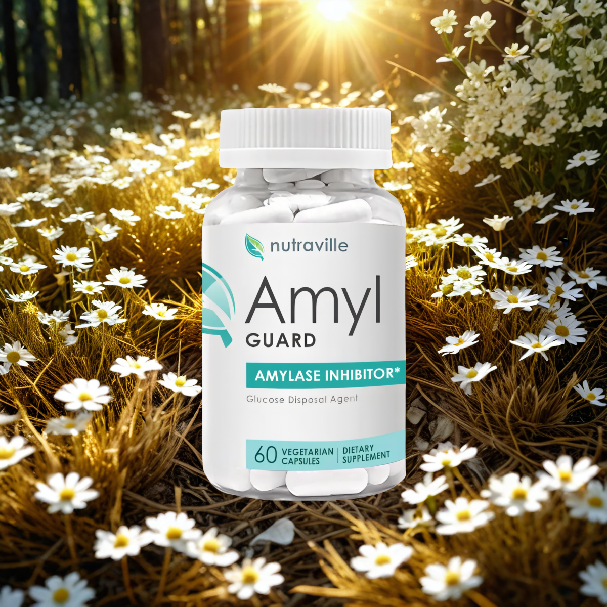 Amyl Guard 1 Bottle