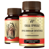 Bee Power