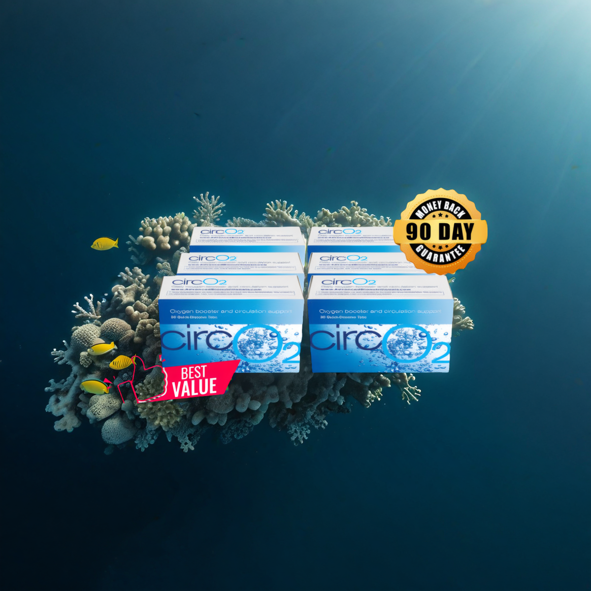 CircO2 (6 Boxes)