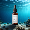 ZenCortex (1 Bottle)